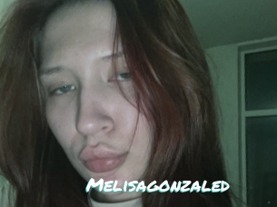 Melisagonzaled