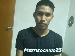Mestizochino23