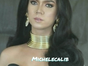 Michelecalib