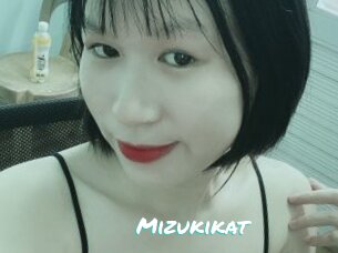 Mizukikat