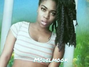 Modelmook