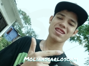 Molinascarloscam