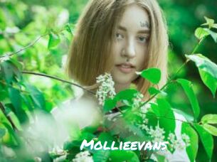 Mollieevans