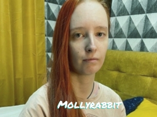 Mollyrabbit