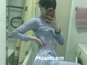 Monibleisi