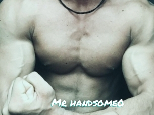 Mr_handsome0