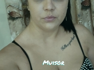 Muisor