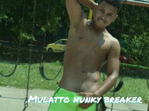 Mulatto_hunky_breaker