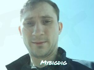 Mybigdig