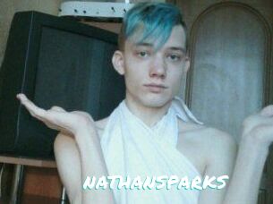 NATHAN_SPARKS