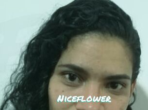 Nice_flower