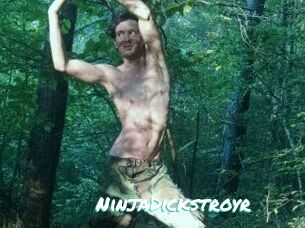 NinjaDickstroyr