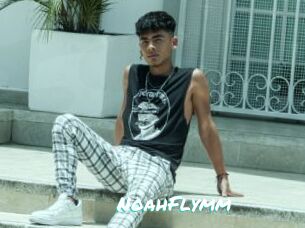 NoahFlymm