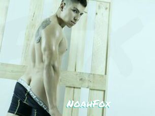 NoahFox