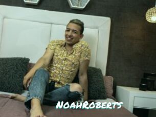 NoahRoberts