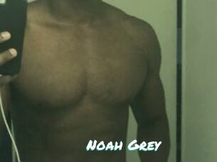 Noah_Grey