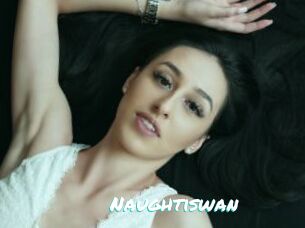 Naughtiswan