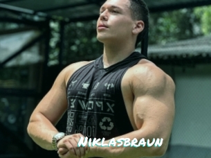 niklasbraun Free Sites X