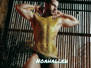 Noahallen