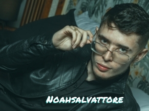 Noahsalvattore
