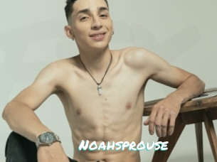 Noahsprouse