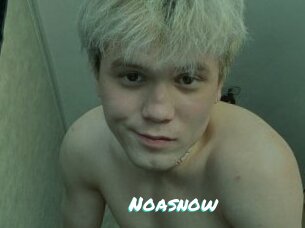 noasnow Free Sites X