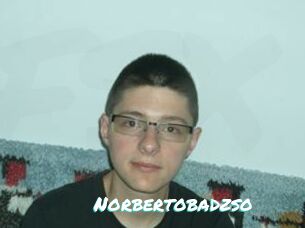 Norbertobadzso