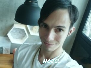 Nozel