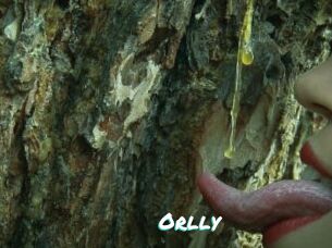 Orlly