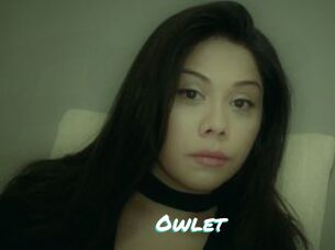 _Owlet_