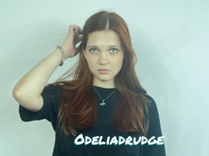 Odeliadrudge