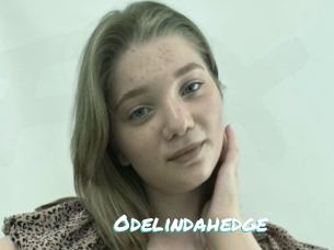 Odelindahedge
