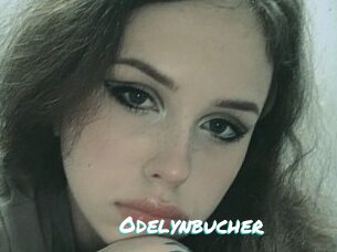 Odelynbucher