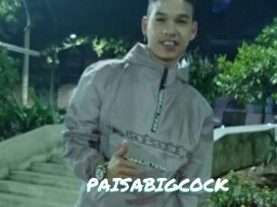 PAISABIGCOCK