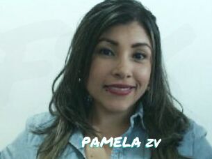 PAMELA_zv