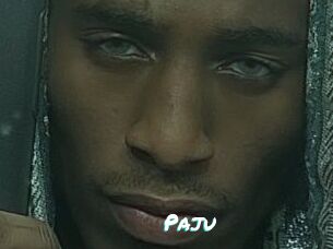 Paju