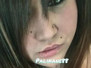 Palikane88