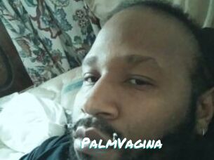 PalmVagina