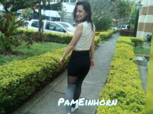 PamEinhorn