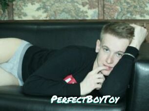 PerfectBoyToy