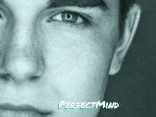 PerfectMind