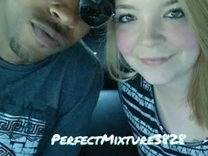 PerfectMixture3828