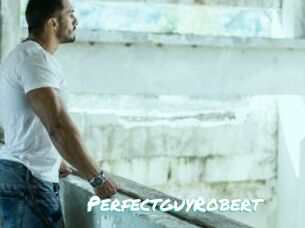PerfectguyRobert