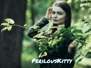Perilous_Kitty