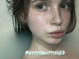 Pettitekitty1107