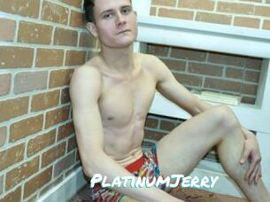 PlatinumJerry