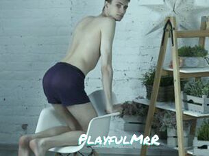 PlayfulMrR