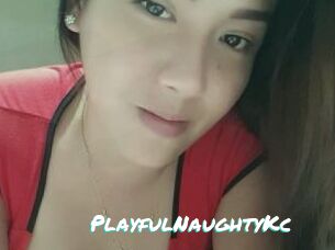 PlayfulNaughtyKc