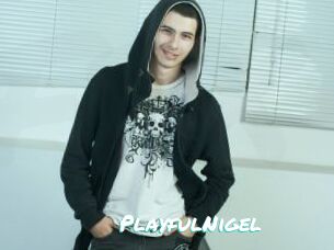 PlayfulNigel