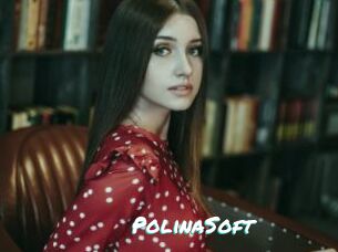 PolinaSoft